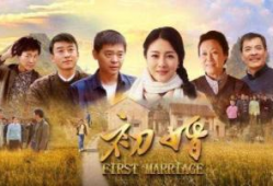 初婚电视剧,爱情与现实的交织
